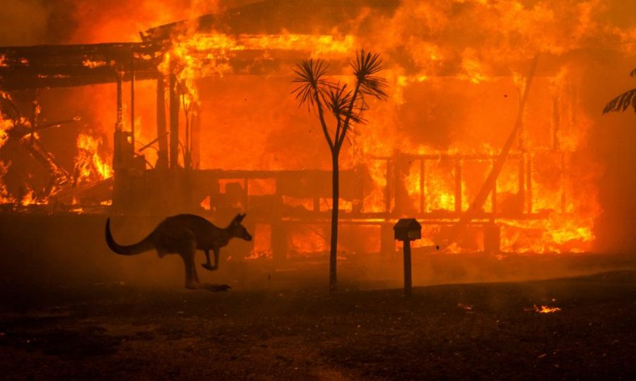 Australia+Fires