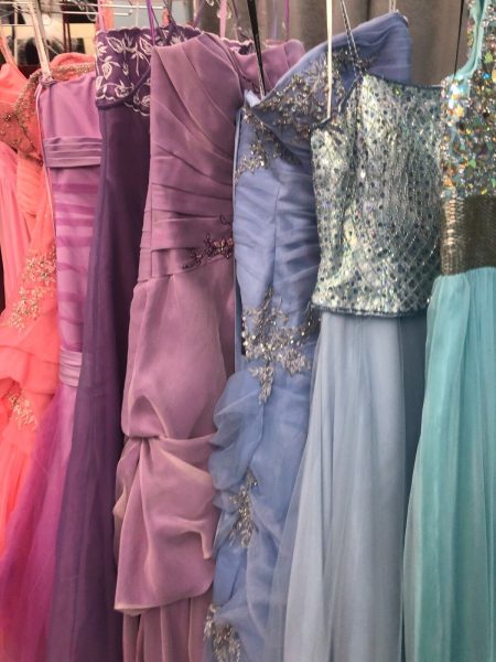 Senior Girls Going Prom Dress Shopping